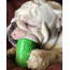 Orange Squeeze - SP Can Toy Durable Rubber Chew Toy & Treat Dispenser  - Small