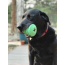 Green - MKB Christmas Tree Durable Rubber Chew Toy & Treat Dispenser  - Large