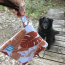 Rust Orange - Monstera + Banana Yucky Puppy Dog Poop Bag Holders - 6.75x6.25