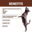 Brown - All-Natural Dog Paw Balm 1.65 oz - 1.65 oz