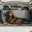 Grey - GF Pet  Pet Cargo Cover - One Size 50