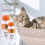 Lime Sulfur Dip - Pet and Veterinary Solution for Dermatitis, Mange, Ringworm and other Parasites - 16 fl oz