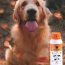 Lime Sulfur Dip - Pet and Veterinary Solution for Dermatitis, Mange, Ringworm and other Parasites - 16 fl oz
