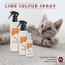 Classic's Lime Sulfur Spray Pet Care for Dry and Itchy Skin - 12 fl oz