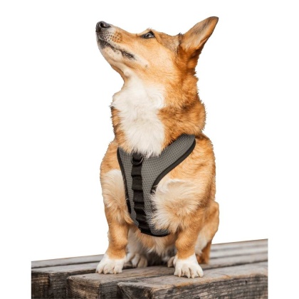 Shark Skin Gray - K9 Sport Harness - Small (13-15\