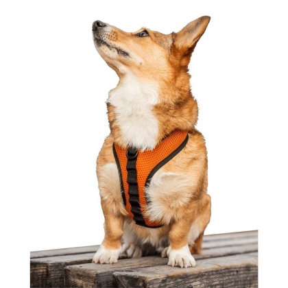 Sunset Orange - K9 Sport Harness - Small (13-15\