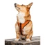 Sunset Orange - K9 Sport Harness - Small (13-15