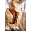 Sunset Orange - K9 Sport Harness - Small (13-15
