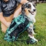 Summer Mint - K9 Sport Sack Air 2 - Large (20
