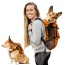 Sunset Orange - Walk-On with Harness & Storage - Small (13-15