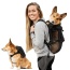 Anthracite Black - Walk-On with Harness & Storage - X-Small (11-13