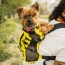 Buttercup Yellow - Walk-On with Harness & Storage - Small (13-15