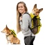 Buttercup Yellow - Walk-On with Harness & Storage - X-Small (11-13