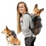 Shark Skin Gray - Walk-On with Harness & Storage - X-Small (11-13