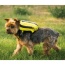 Buttercup Yellow - Walk-On with Harness & Storage - X-Small (11-13