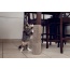 Kitty Corner Cat Scratching Post (2 pieces)