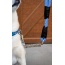Elektric Blue - Tug Control Leash with Reflectors & Shock Absorber - Small