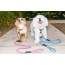 Kandy Kane - Tug Control Leash with Reflectors & Shock Absorber - Small