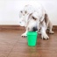 Green - Coffee Cup Durable Rubber Chew Toy and Treat Dispenser - Medium