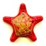 Red - Starfish Ultra Durable Nylon Dog Chew Toy for Aggressive Chewers