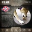 Brown - Durable Nylon Star Dog Chew Toy and Enrichment Toy for Aggressive Chewers