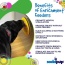 Yellow Duckies E-Mat - Duckies Design eMat Enrichment Lick Mat With Suction Cups