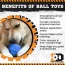 Blue - ID Cap Nut Ultra-Durable Rubber Chew Toy and Treat Dispenser - Large