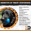 Blue - ID Double Trouble Durable Rubber Chew Toy and Treat Dispenser  - Large