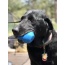 Blue - ID Double Trouble Durable Rubber Chew Toy and Treat Dispenser  - Large