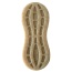 Brown - SP Peanut Ultra Durable Nylon Dog Chew Toy for Aggressive Chewers