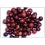 I Want Liquid Immunity - Whole Body Immunity & Antioxidant Cellular Support* - CAT/16.9 fl oz / 500 ml