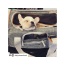 Snowflake Gray - Mr. Peanut's Platinum Series Double Expandable Pet Carrier - 18inLx10.5inWx11inH