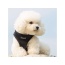 Black - Mr. Peanut's PupTrek Small Dog/Cat Soft Mesh Step In Harness Vest - XSmall