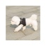 Black - Mr. Peanut's PupTrek Small Dog/Cat Soft Mesh Step In Harness Vest - XSmall