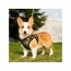 Camo - Mr. Peanut's PupTrek Small Dog/Cat Soft Mesh Step In Harness Vest - Large