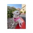 Pink - Mr. Peanut's PupTrek Small Dog/Cat Soft Mesh Step In Harness Vest - XLarge