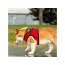 Red - Mr. Peanut's PupTrek Small Dog/Cat Soft Mesh Step In Harness Vest - XLarge