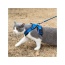 Blue - Mr. Peanut's PurrTrek Reflective Cat Harness with Matching Leash - Small