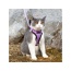 Lilac - Mr. Peanut's PurrTrek Reflective Cat Harness with Matching Leash - Small