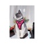 Lilac - Mr. Peanut's PurrTrek Reflective Cat Harness with Matching Leash - Small