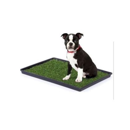 Mr. Peanut\'s Potty Place - Artificial Grass Puppy Pad for Dogs and Small Pets - Small: 25 in L x 20 in W x 1 1/4 in H