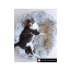 Snowflake White Two Tone - Mr. Peanut's OrthoPlush Pet Bed - 28 in