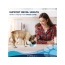 Forza10 Active Kidney Renal Support Diet Dry Dog Food - 8.8-lb bag