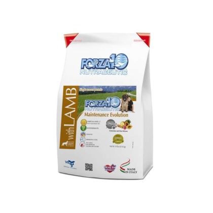 Forza10 Maintenance Evolution Lamb Dry Dog Food - 18-lb bag