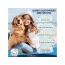 Forza10 Actiwet Intestinal Support Icelandic Fish Recipe Canned Dog Food - 3.5-oz