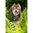 Magical Fern Forest Dog Bandana - M/L - 27in x 13in