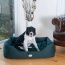Armarkat Bolstered Dog Bed, Anti-Slip Pet Bed, Laurel Green - L