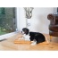 Earth Brown - Armarkat Pet Bed Mat, Dog Crate Soft Pad W Poly Fill Cushion - M