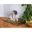 Sage Green - Armarkat Pet Bed Mat, Dog Crate Soft Pad W Poly Fill Cushion - M