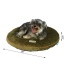 Sage Green - Armarkat Pet Bed Pad, Poly Fill Dog Cushion Bed M04